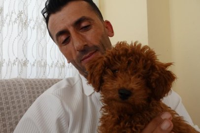 Otobüs şoförünü şaşkına çeviren sessiz yolcu: Oyuncak sandı canlı çıktı
