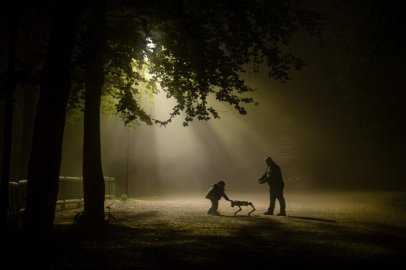7120 fotoğraf arasından seçildi...
