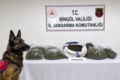 Bingöl'de jandarma 25 olaya müdahale etti, uyuşturucu madde ve silah ele geçirildi