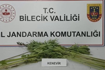 Bilecik’te Uyuşturucu Operasyonu