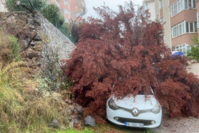 Bursa’da sağanak yağış ağacı devirdi, otomobilin üzerine düştü
