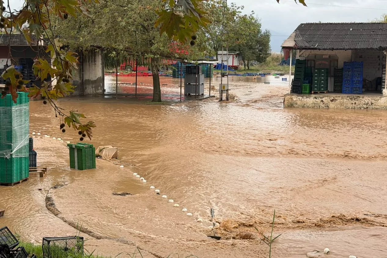 İznik'te Kara Dere taştı, evleri ve tarlaları su bastı