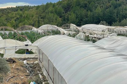 Manavgat'ta hortum seraları yıktı
