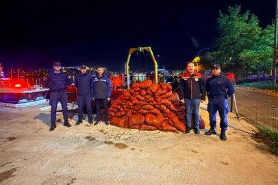Gemlik’te kaçak midye avına geçit yok: 174 bin TL ceza