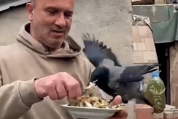 4 yıldır beslediği kargasına elleriyle balık yedirdi