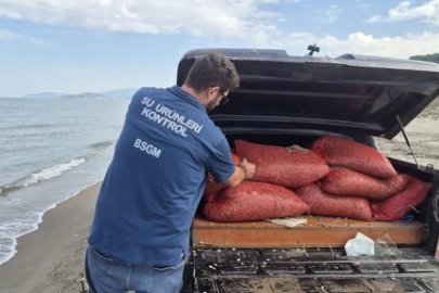 Bursa’da kaçak avcılığa geçit yok: 2 ton 760 kilo kum şırlanı doğaya bırakıldı