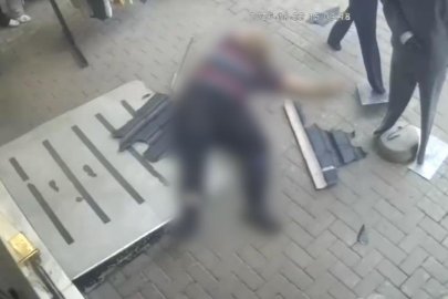 Kediyi kurtarmak isteyen eğitimci hayatını kaybetti