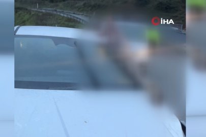 İstanbul'da korkunç kaza: Atın kopan bacağı otomobile saplandı