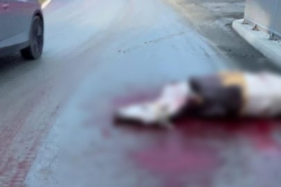 Korkunç kaza: Atın kopan bacağı otomobile saplandı