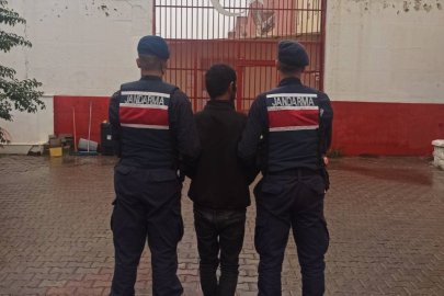 Büyükbaş hayvanları çalmıştı...