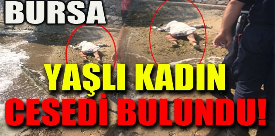 Bursa'da denizden yaşlı kadın cesedi çıktı