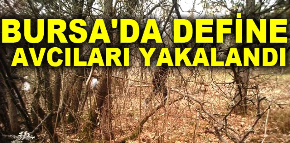 Bursa'da define avcıları yakalandı