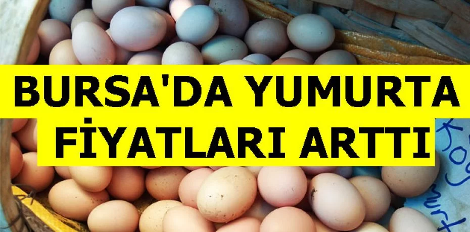 Bursa'da yumurta fiyatları arttı