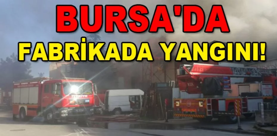 Bursa'da fabrikada yangını!