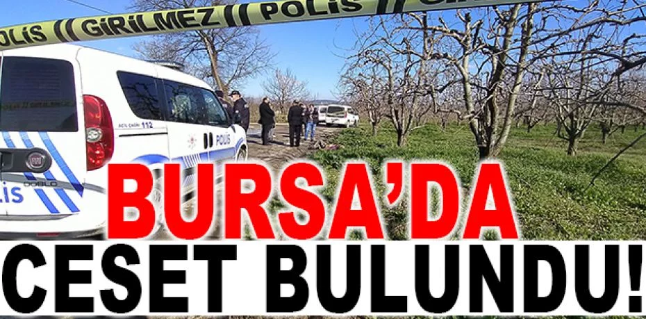 Bursa'da silahla vurulduktan sonra yol kenarına atılan erkek cesedi bulundu