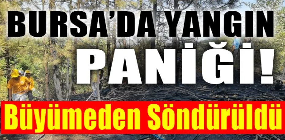 Bursa'da orman yangını paniği