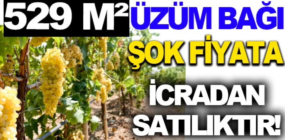 Manisa Sarıgöl'de 529 m2 üzüm bağı icradan satılıktır