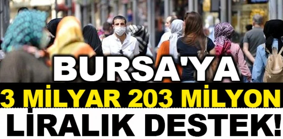 Bursa'ya 3 milyar 203 milyon liralık destek