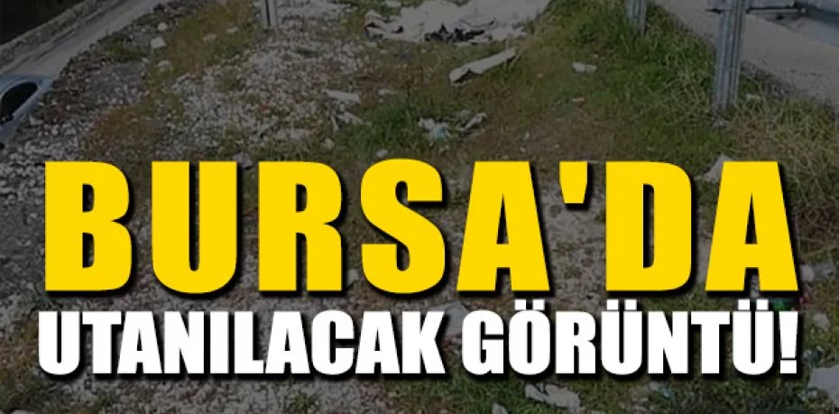 Bursa'da utanılacak görüntü