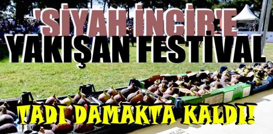 Osmangazi’den 'siyah incir'e yakışan festival