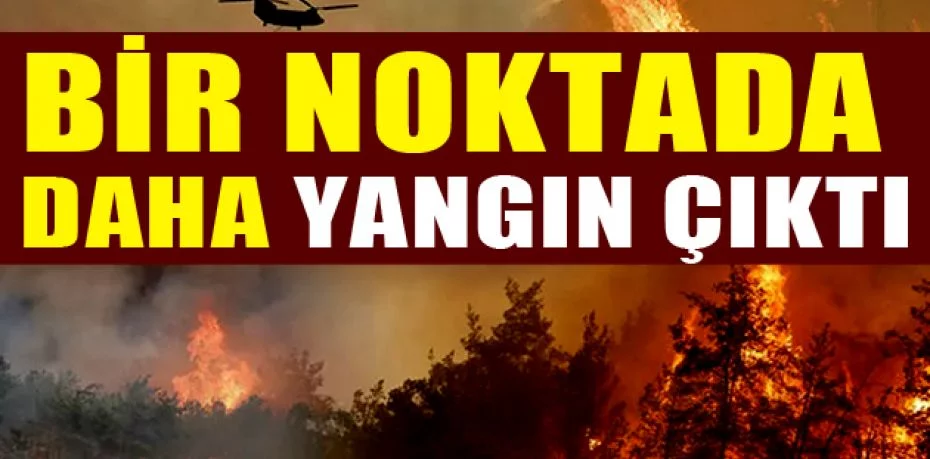 Antalya, Muğla ve Isparta'da orman yangını! İşte il il yangınlarda son durum
