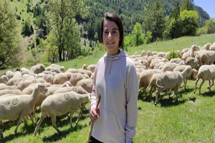 Koyunlarını otlatarak Avrupa Şampiyonası'na hazırlanıyor