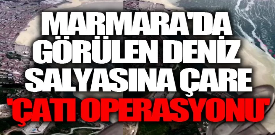 Marmara'da görülen deniz salyasına çare: 'Çatı Operasyonu'