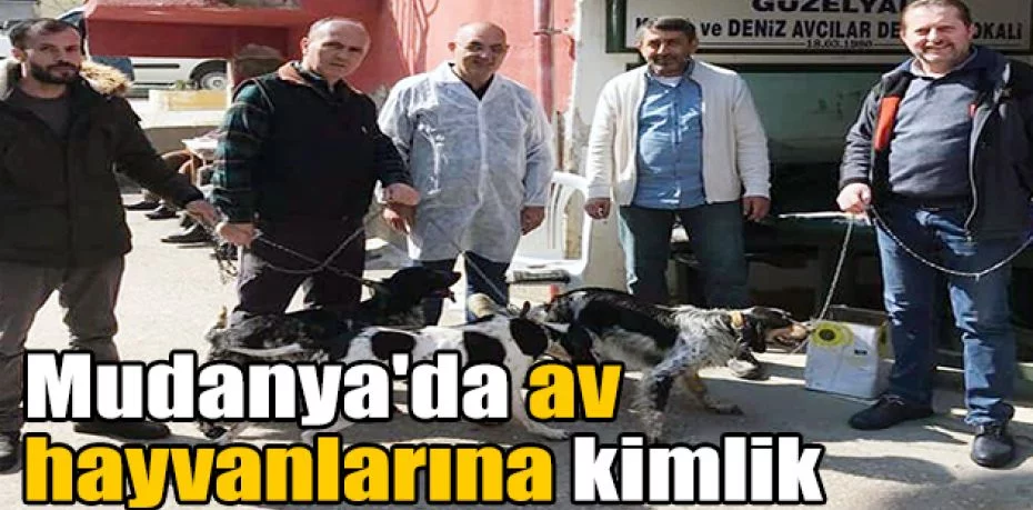 Mudanya'da av hayvanlarına kimlik