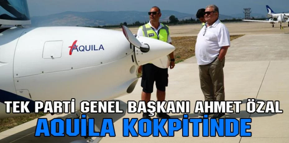 Türk Kartalı Aquila