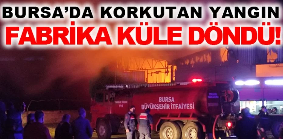 Bursa’daki karton fabrikası küle döndü