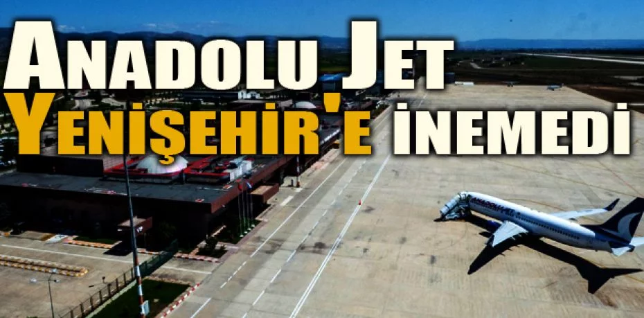 Anadolu Jet Yenişehir'e inemedi