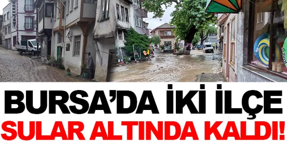 Bursa'nın Gemlik ve Mudanya ilçesi sele teslim