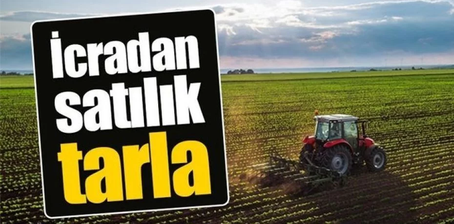 Muğla Bodrum'da tarım arazisi mahkeme kararıyla satılıktır (çoklu satış)