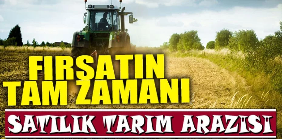 Niğde Merkez'de 31.693 m² tarım arazisi icradan satılıktır