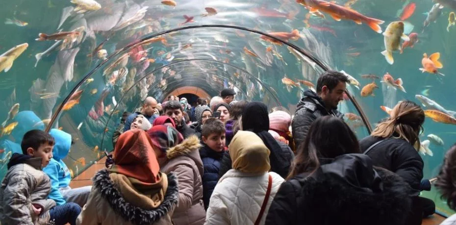 Yıldırım'da tünel akvaryumu 10 günde 40 bin kişi ziyaret etti
