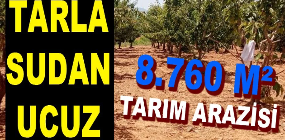 İzmir Ödemiş'te 8.760 m² tarım arazisi icradan satılıktır