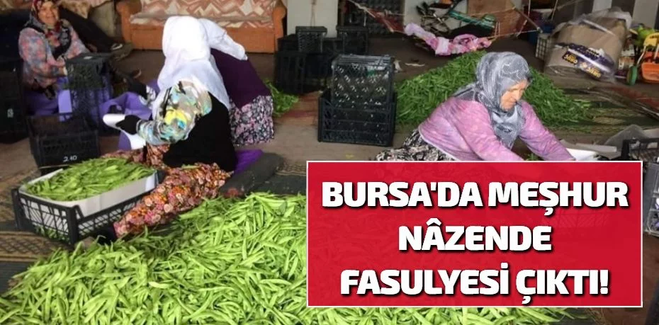 BURSA'DA  MEŞHUR NÂZENDE FASULYESİ ÇIKTI!