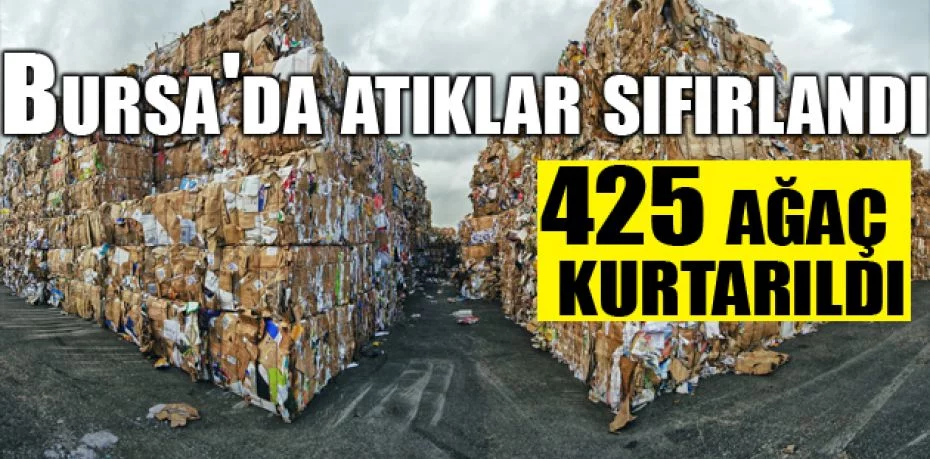 Bursa'da atıklar sıfırlandı, 425 ağaç kurtarıldı