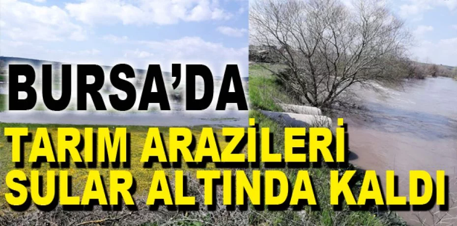 Mudanya'da tarım arazileri sular altında kaldı