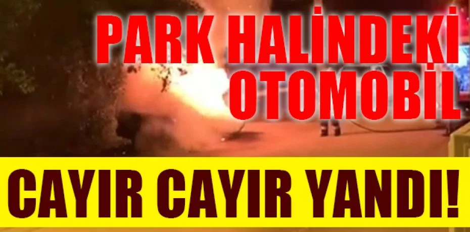 Bursa'da geceyi alevler aydınlattı