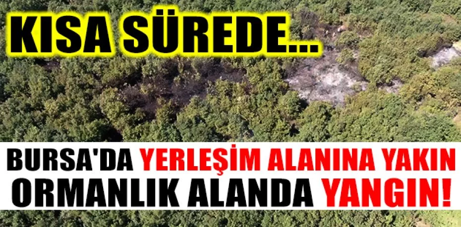 Bursa'da yerleşim alanına yakın ormanlık alanda yangın çıktı