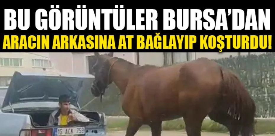 Bursa'da aracın arkasına at bağlayıp koşturan şahsa ağır ceza