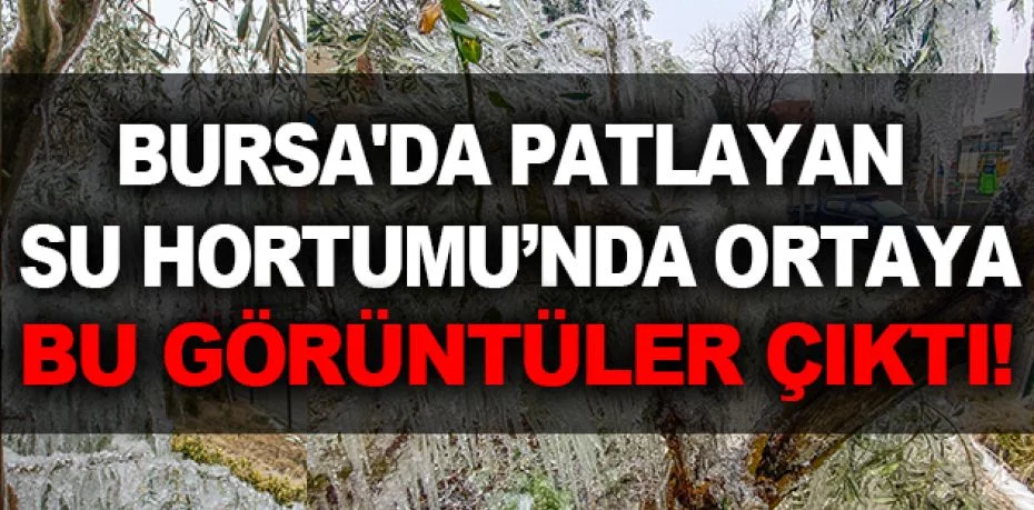 Bursa'da patlayan su hortumu ortaya buzdan heykellerin çıkmasına sebep oldu