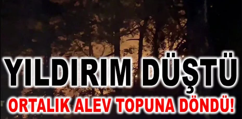 Bursa'da yıldırım düştü, ormanlık alanda yangın çıktı
