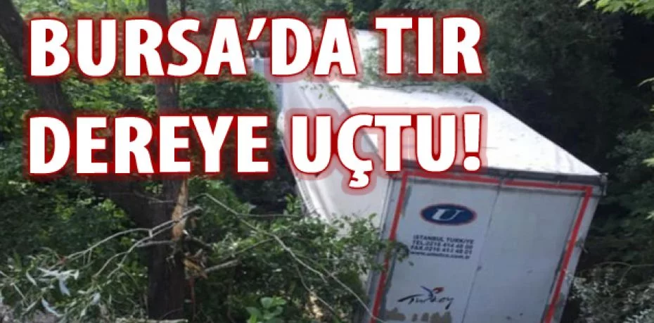 Bursa'da dereye uçan TIR'ın şoförü yaralandı