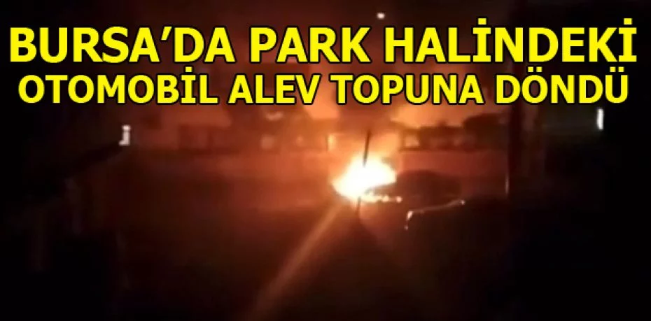 Bursa’da park halindeki otomobil alev topuna döndü