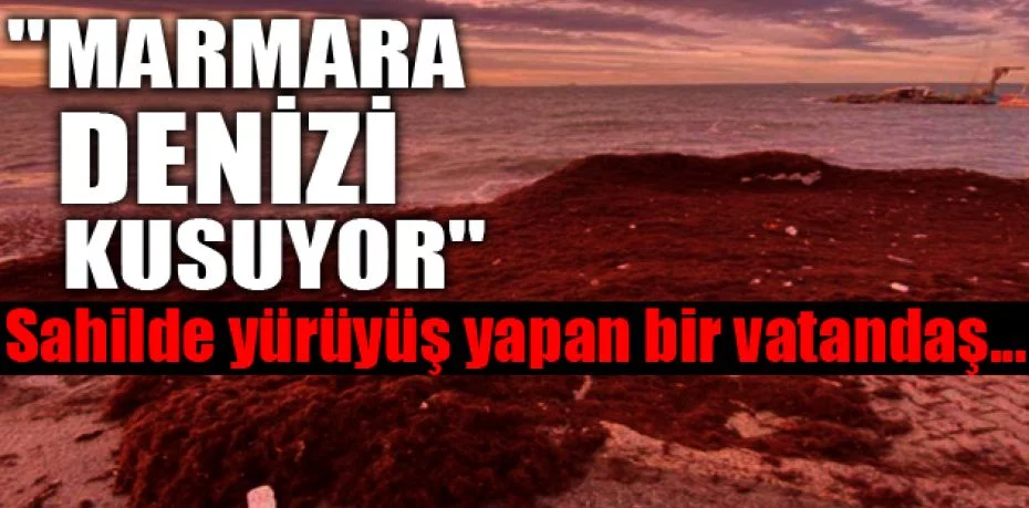 Caddebostan sahili kırmızı yosunla kaplandı! ''Marmara Denizi kusuyor''