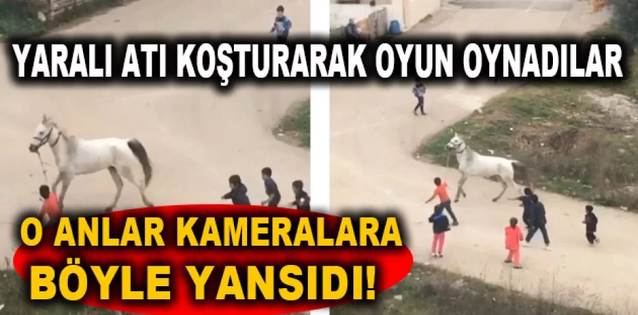 Bursa’da çocuklar yaralı atı böyle koşturdu