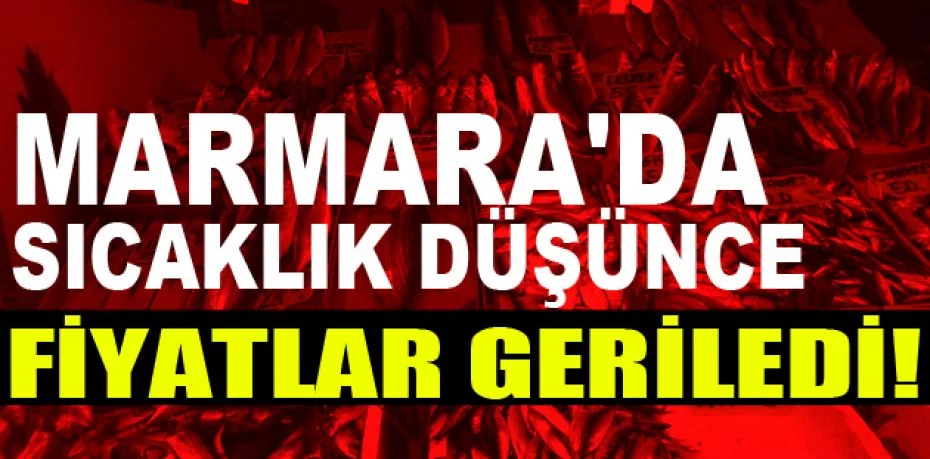 Marmara'da sıcaklık düşünce balık fiyatları geriledi
