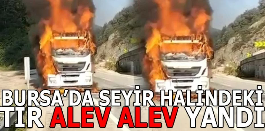 Bursa’da seyir halindeki tır alev alev yandı
